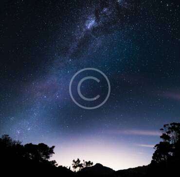 Stars in perfect synchrony form a symphony